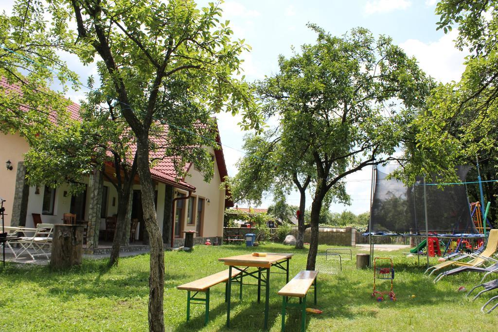Pensiunea Casa Noastra Baia de Fier Exterior foto